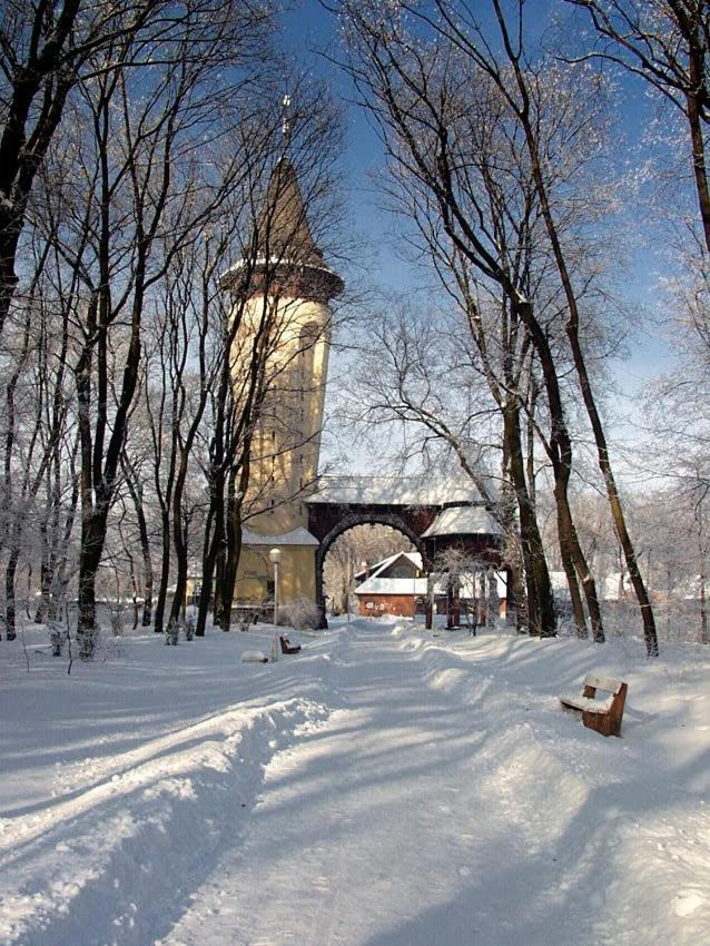 Apartman Buba Палич Экстерьер фото