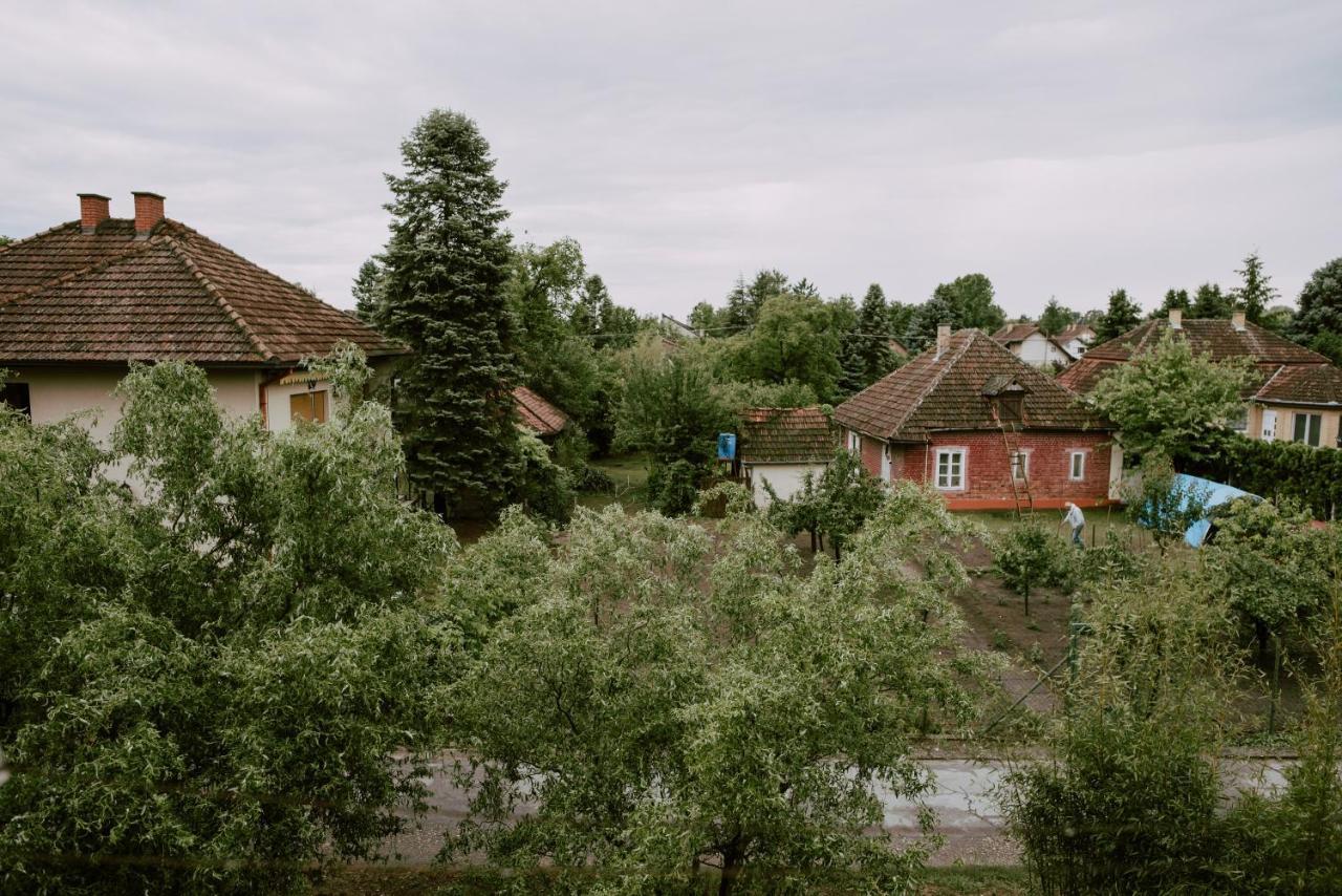 Apartman Buba Палич Экстерьер фото